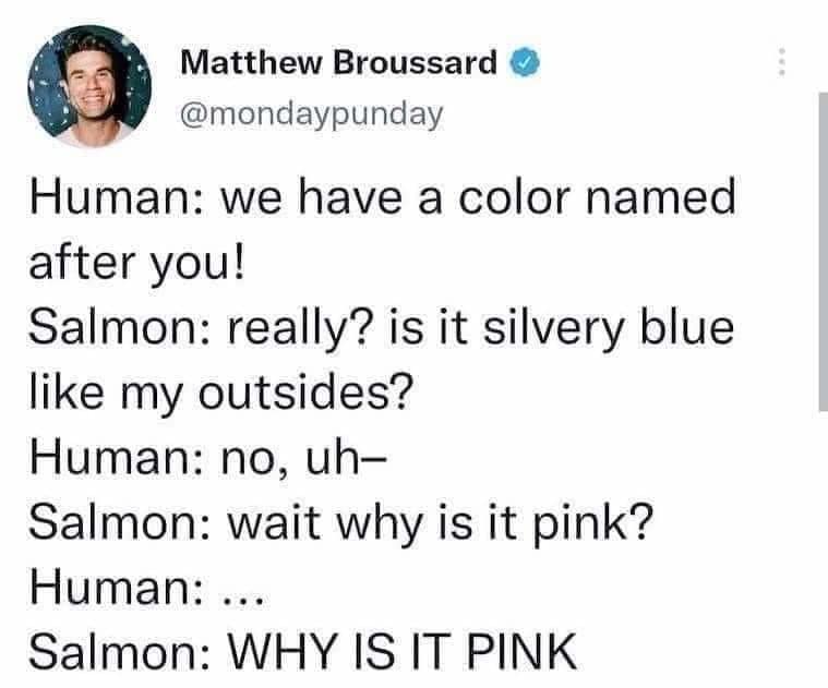 A witty dialogue screenshot acts as a sharp old memes favorite, tracking Matthew Broussard's text breakdown of a salmon finding out humans named a color after its internal flesh rather than its silvery-blue exterior scales.