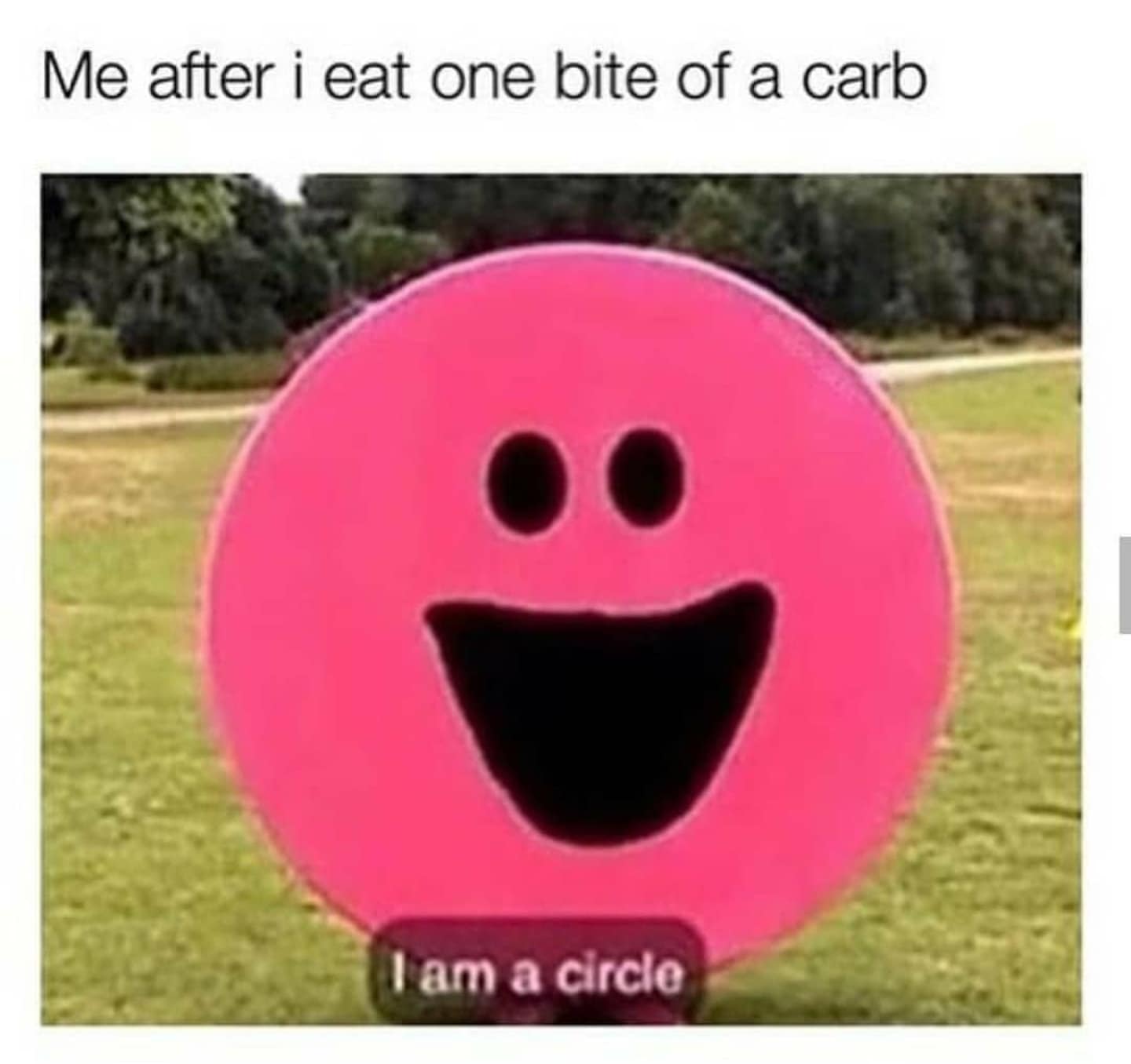 A simple yet relatable classic meme utilizes a bright pink, perfectly round mascot character with a giant open mouth and tiny dot eyes standing in an open field. The overlay text perfectly frames the psychological toll of breaking a diet, reading: "Me after i eat one bite of a carb" with the deadpan subtitle, "I am a circle."