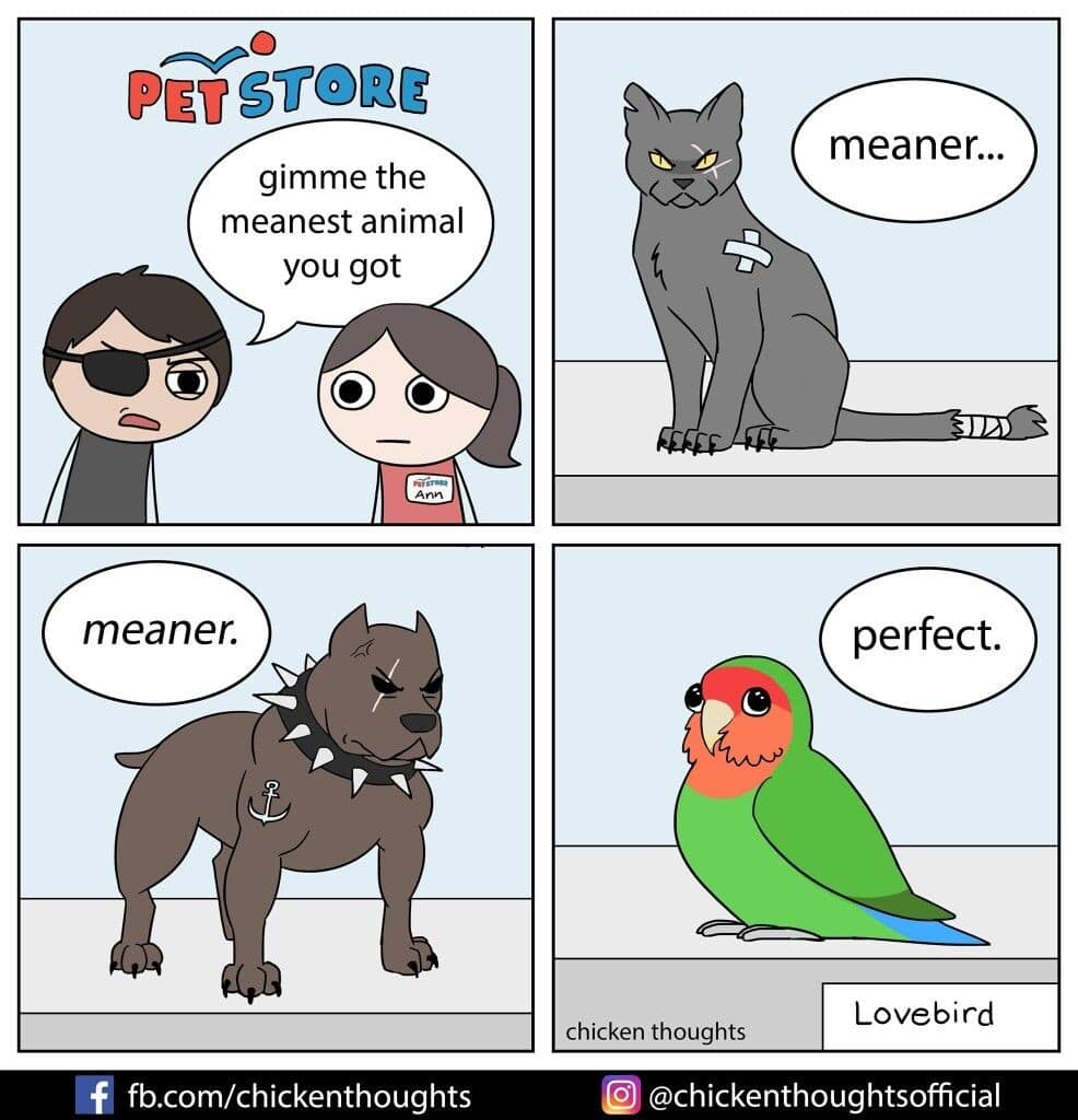 A 4-panel webcomic from Chicken Thoughts captured in this classic meme dump features a tough character demanding the "meanest animal" from a pet store, passing over scarred cats and aggressive pit bulls to ultimately choose a tiny, deceptively cute lovebird.