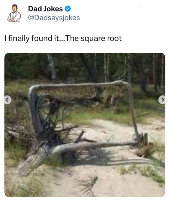 A literal math pun shared as an old meme captures a Dad Jokes social update featuring a photo of a thick tree root system in a forest that has organically grown into a perfect rectangular frame, captioned "I finally found it...The square root."