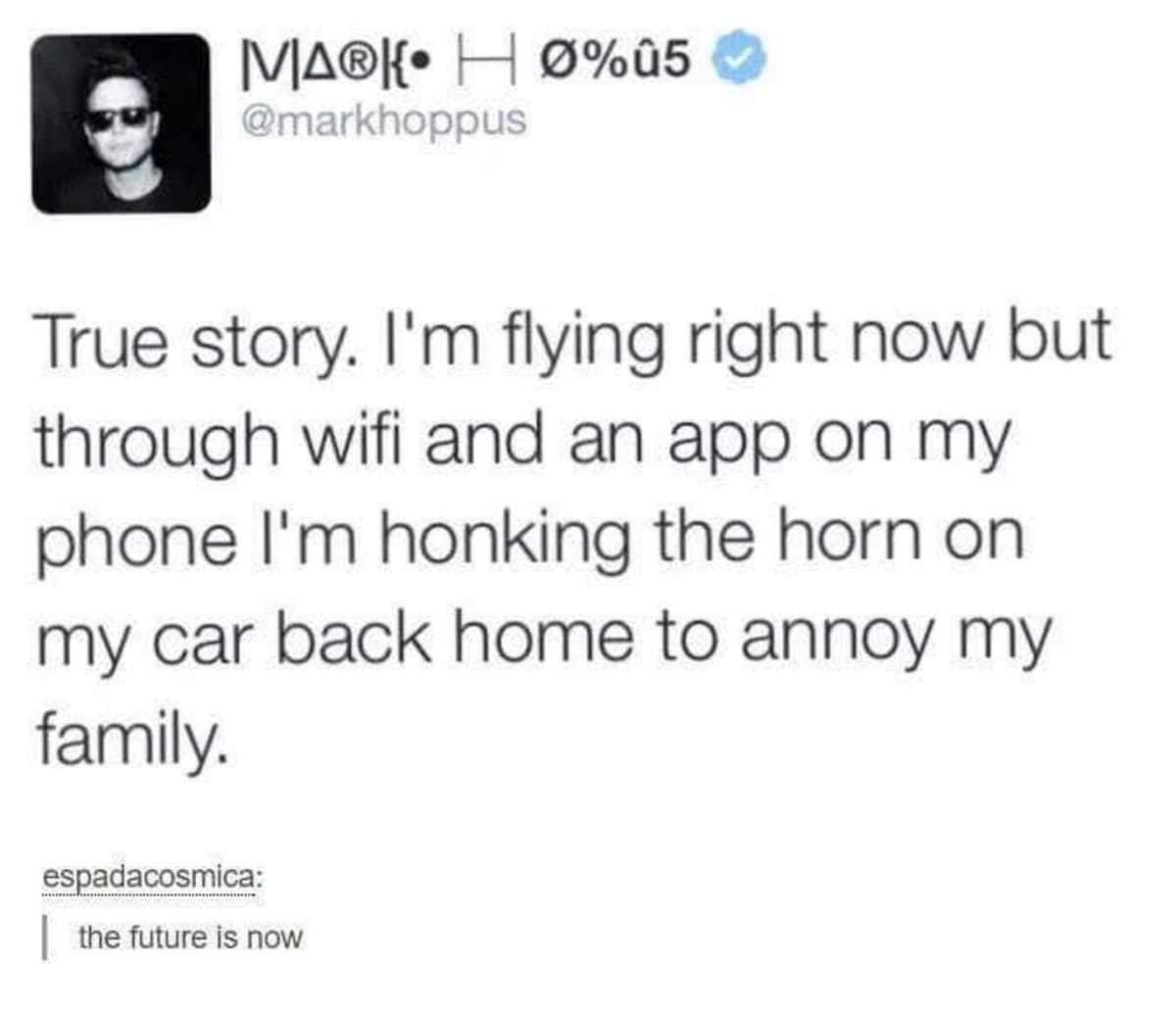 tech-enabled prank post circulating as a classic meme highlights a tweet by Blink-182's Mark Hoppus reading, "True story. I'm flying right now but through wifi and an app on my phone I'm honking the horn on my car back home to annoy my family," complete with a deadpan Tumblr reblog note from espadacosmica stating, "the future is now."