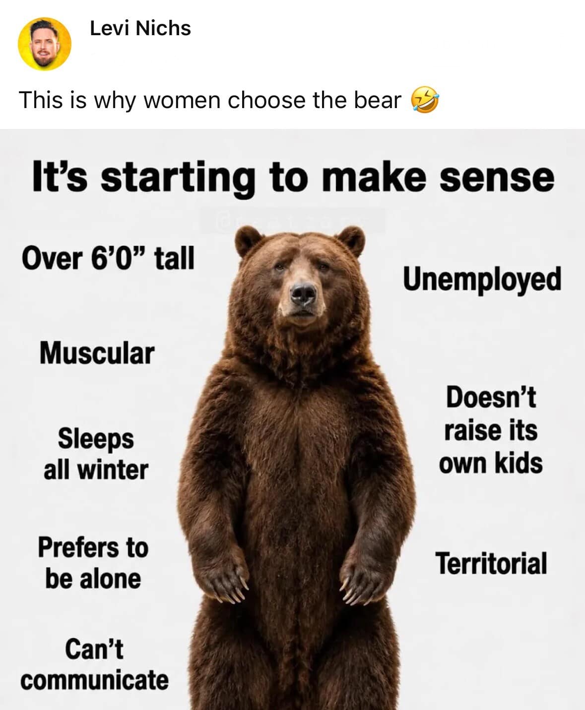 A current-events parody image operating as a trending classic meme breaks down a comparison list titled "It's starting to make sense," charting a grizzly bear's traits like being muscular, unemployed, territorial, and unable to communicate to explain why women choose the bear.