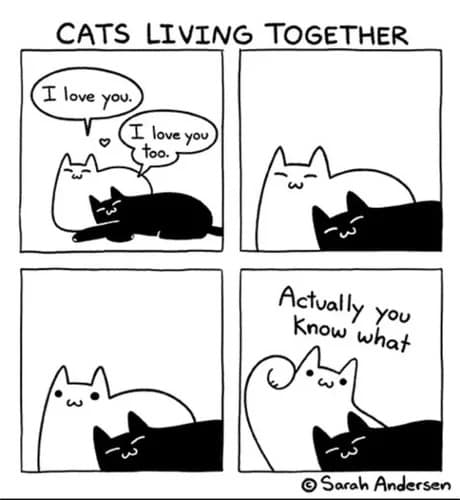 A Sarah Andersen comic strip charting domestic life where two cats cuddle peacefully until one suddenly panics with an unexpected grievance, archived in a funny meme.