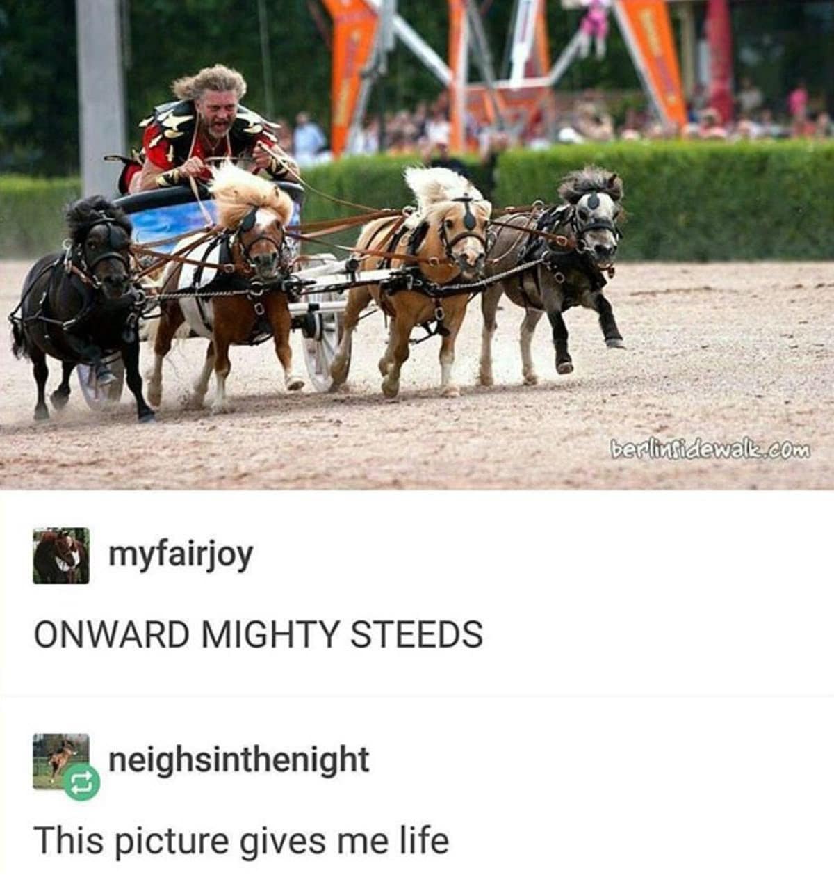 An absurd internet mashup post operating as an energetic classic meme shows a man with long hair in a classical red and gold gladiator outfit fiercely driving an ancient chariot pulled by four running miniature Shetland ponies, backed by enthusiastic Tumblr comments reading "ONWARD MIGHTY STEEDS."