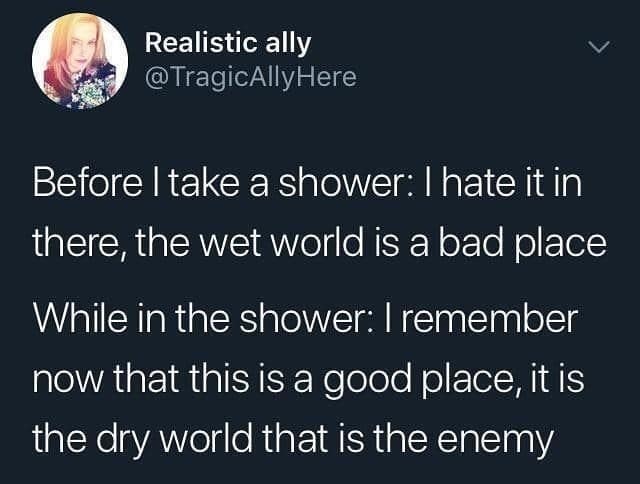 A relatable lifestyle tweet format floating around classic memes by user Realistic ally (@TragicAllyHere), describing the psychological transformation of taking a shower: dreading the "wet world" before getting in, only to realize while inside that the "dry world" is the real enemy.