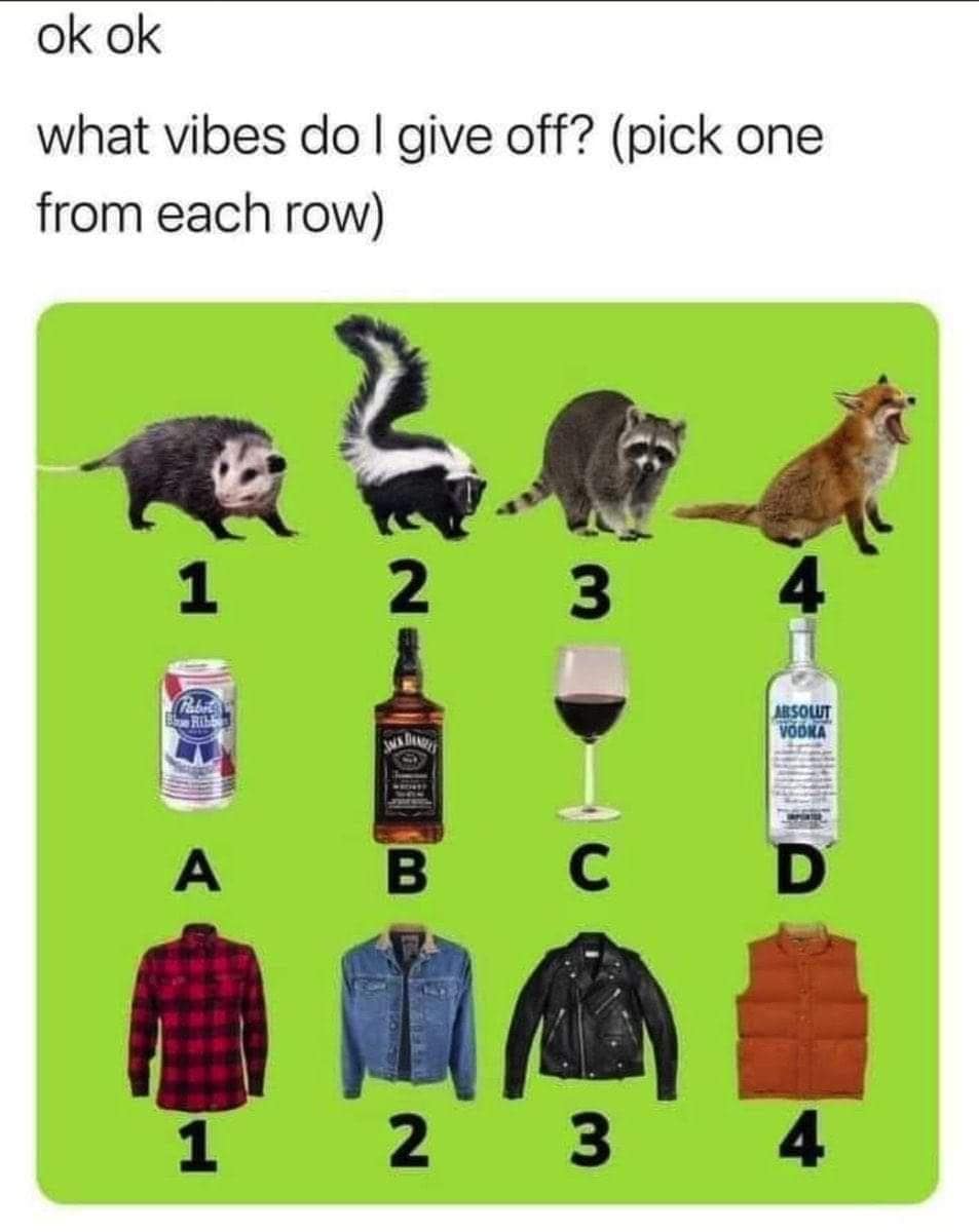 A classic meme digital chart titled "what vibes do I give off?" on a bright green background, prompting users to choose an identity combination across rows of feral trash animals, hard liquors, and regional outerwear choices.
