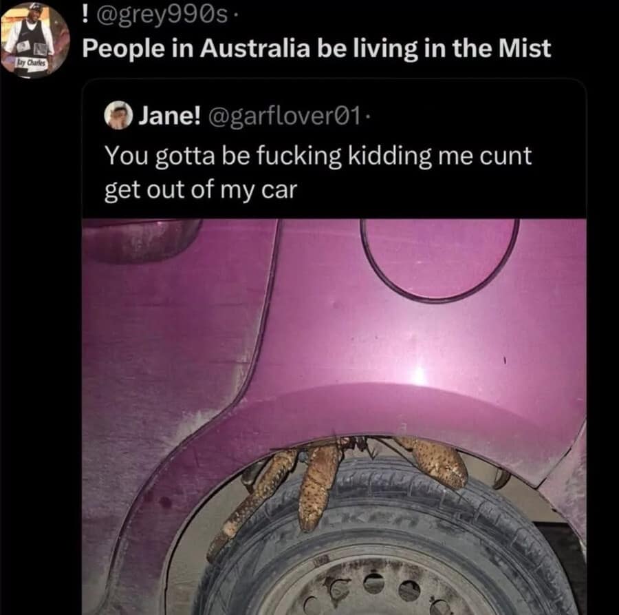 This terrifying animal-themed classic meme highlights the extreme nature of Australian wildlife via a chaotic Twitter exchange. The header states "People in Australia be living in the Mist," above a shocking close-up photo of massive, thick huntsman spider legs bursting out from behind the fuel door compartment of a pink sedan, paired with a frantic local quote tweet: "get out of my car."