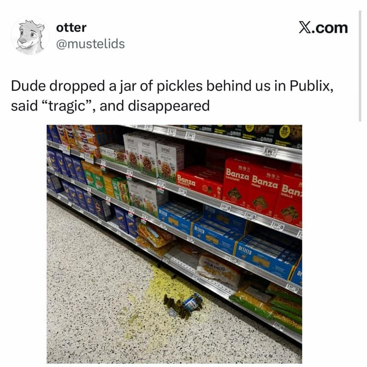 chaotic real-life grocery store anecdote archived as a classic meme displays an X.com post by user @mustelids that textually logs an iconic encounter: "Dude dropped a jar of pickles behind us in Publix, said 'tragic', and disappeared," positioned above an on-the-scene photograph of smashed glass and green brine pooled on the store floor tiles.