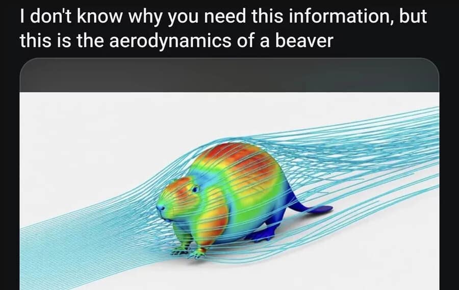A science-style classic meme announces “this is the aerodynamics of a beaver,” showing a colorful airflow simulation around a beaver model, delivering extremely unnecessary animal physics that somehow feels like vital forbidden knowledge.