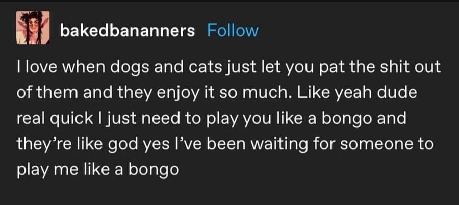 A minimalist text post screenshot from a meme dump by user bakedbananners describing the deep mutual satisfaction that comes when domestic cats and dogs let humans play their backs like a set of bongo drums.