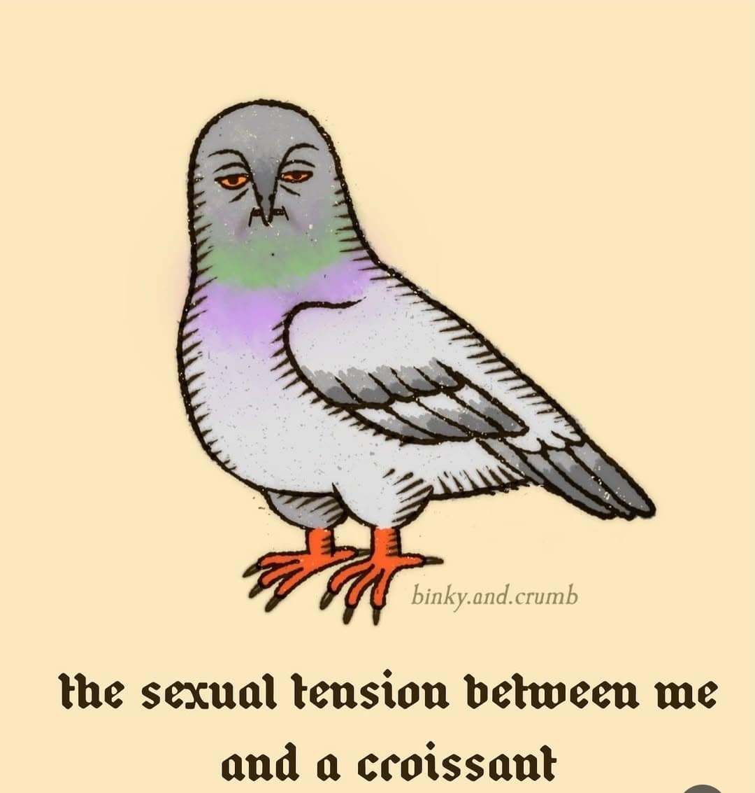A stylised illustration of a feral pigeon with intense, unblinking orange eyes operates as an elite classic meme entry, paired with medieval gothic script reading, "the sexual tension between me and a croissant."