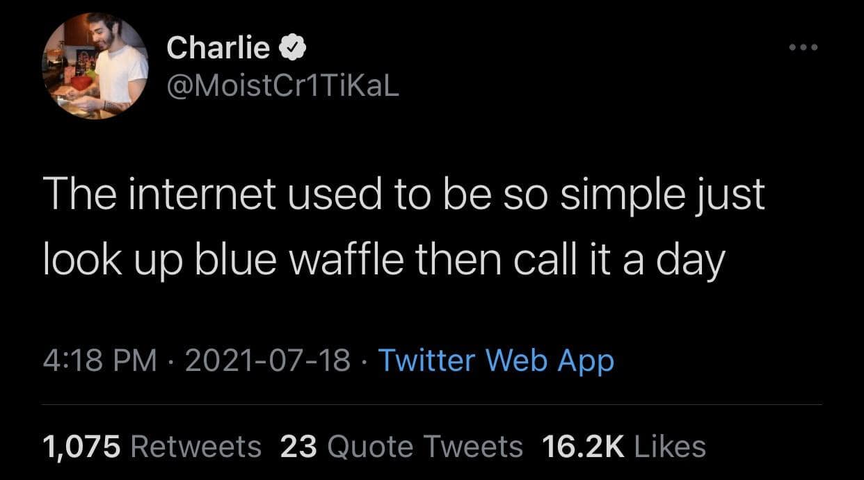 nostalgic text tweet screenshot archived as a classic meme by creator Charlie (@MoistCr1TiKaL). The message states: "The internet used to be so simple just look up blue waffle then call it a day," reflecting on the chaotic shock-site era of early web history.