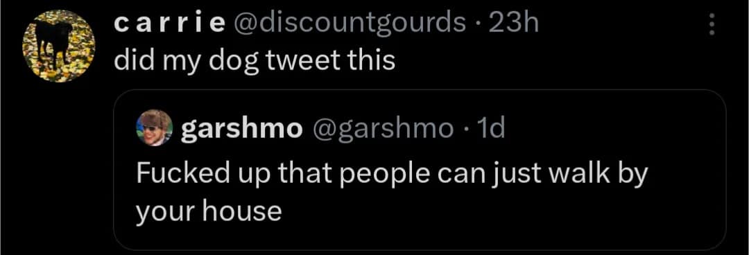 A relatable pet-owner interaction circulating as a classic meme highlights a quote-tweet by user discountgourds checking if her territorial pet wrote a post that aggressively complains about the audacity of strangers simply walking past a house.