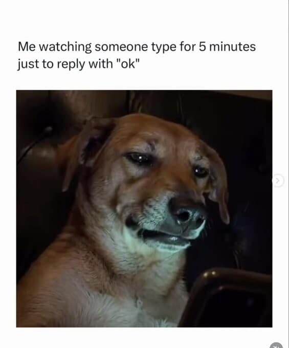 A digital messaging etiquette text joke popular among classic memes pairs a note about watching someone type a chat response for five straight minutes only to reply with a basic "ok" alongside a close-up photo of a brown dog staring intensely deadpan at a phone screen in the dark.