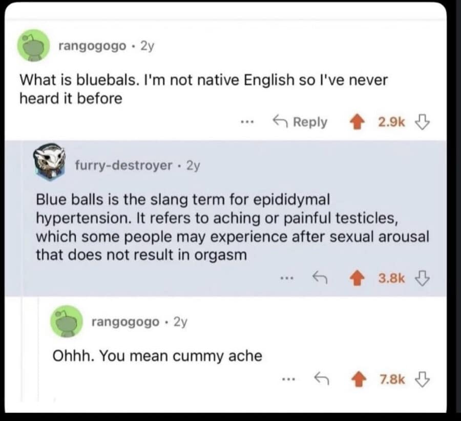 A legendary Reddit language-barrier screenshot functioning as a viral classic meme catches a non-native English speaker asking for a breakdown of the slang term "blue balls," instantly renaming the hyper-technical medical description as a "cummy ache."