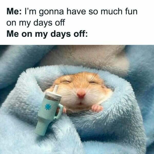 A cozy animal picture serving as a relatable classic meme maps an explicit contrast between weekend expectations ("Me: I'm gonna have so much fun on my days off") and the reality, showcasing a cute hamster sleeping tucked snugly inside a plush blue blanket with a tiny toy tumbler cup.