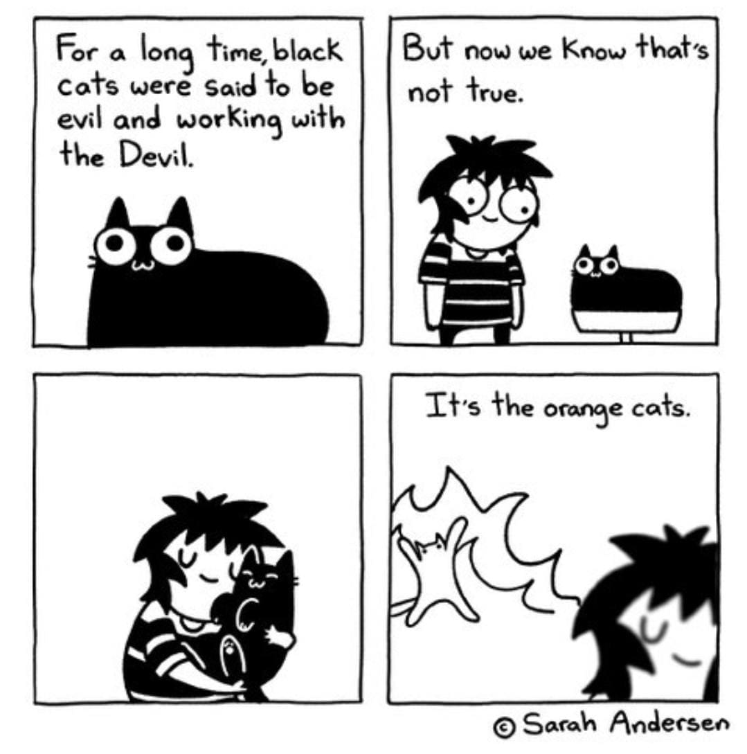 A classic memes comic strip by Sarah Andersen explaining that while history falsely blamed black cats for being evil companions of the Devil, modern owners recognize that the true agents of pure chaos and fire are actually orange cats.