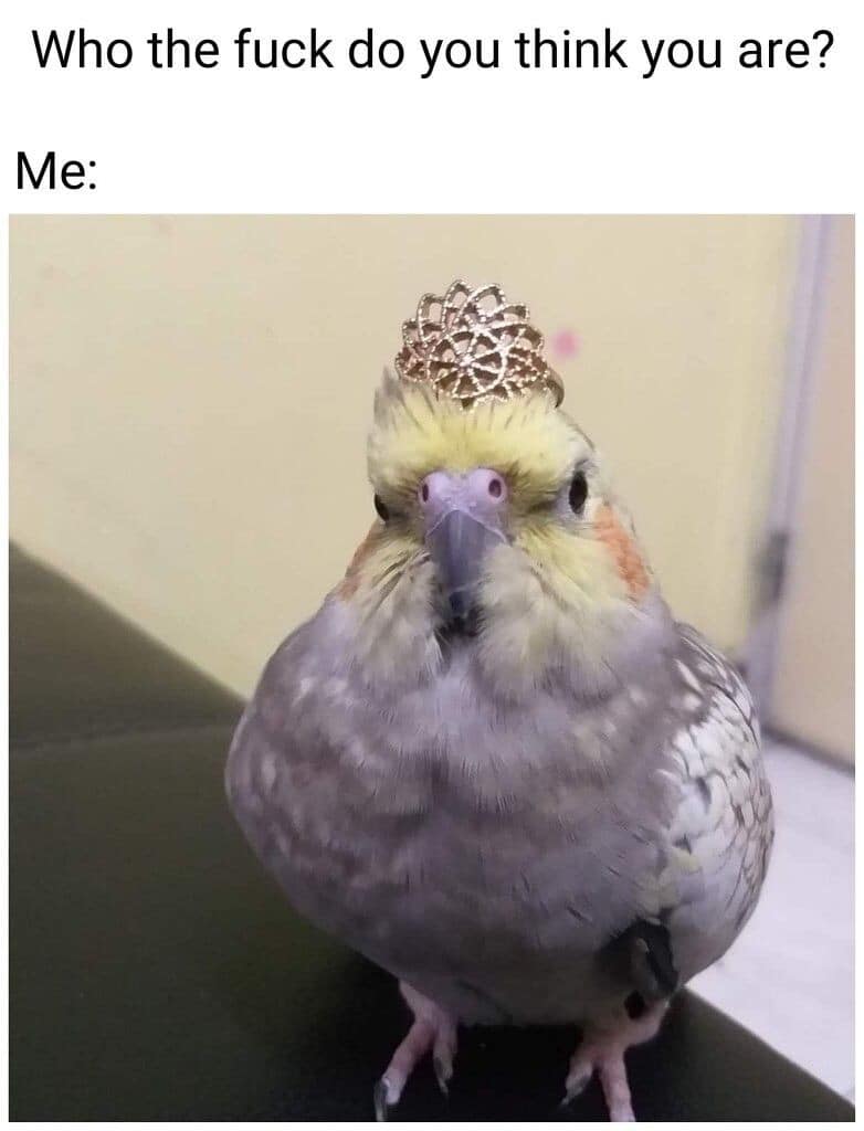Meme text asks “Who the f*ck do you think you are?” above a small bird wearing a tiny tiara, with “Me:” underneath, making a classic reaction meme for anyone choosing royal delusion over humility.