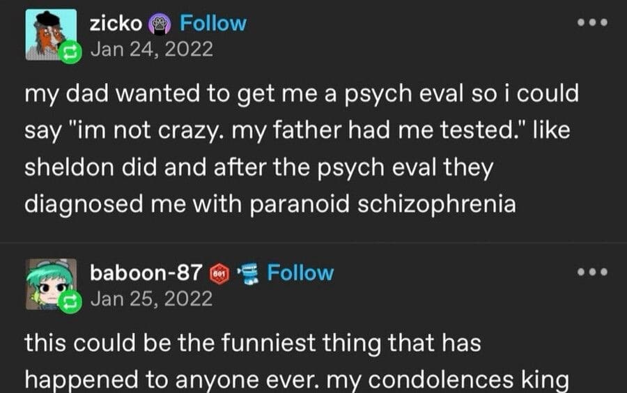 A classic memes text post screenshot from Tumblr where a user recounts getting a psychiatric evaluation just to make a sarcastic Big Bang Theory joke, only to accidentally walk away with a legitimate clinical diagnosis of paranoid schizophrenia.