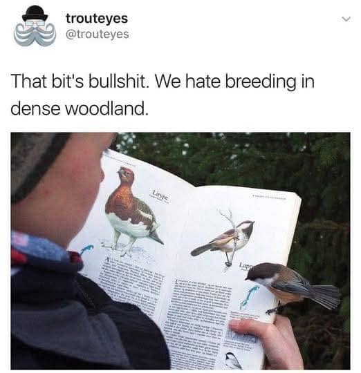 A perfectly timed classic meme captures a wild photograph of a real-life black-capped chickadee bird standing directly inside an open illustrated page of a bird-watching field guide book. The picture is topped with a satirical quote tweet from @trouteyes speaking on behalf of the bird: "That bit's bullshit. We hate breeding in dense woodland."