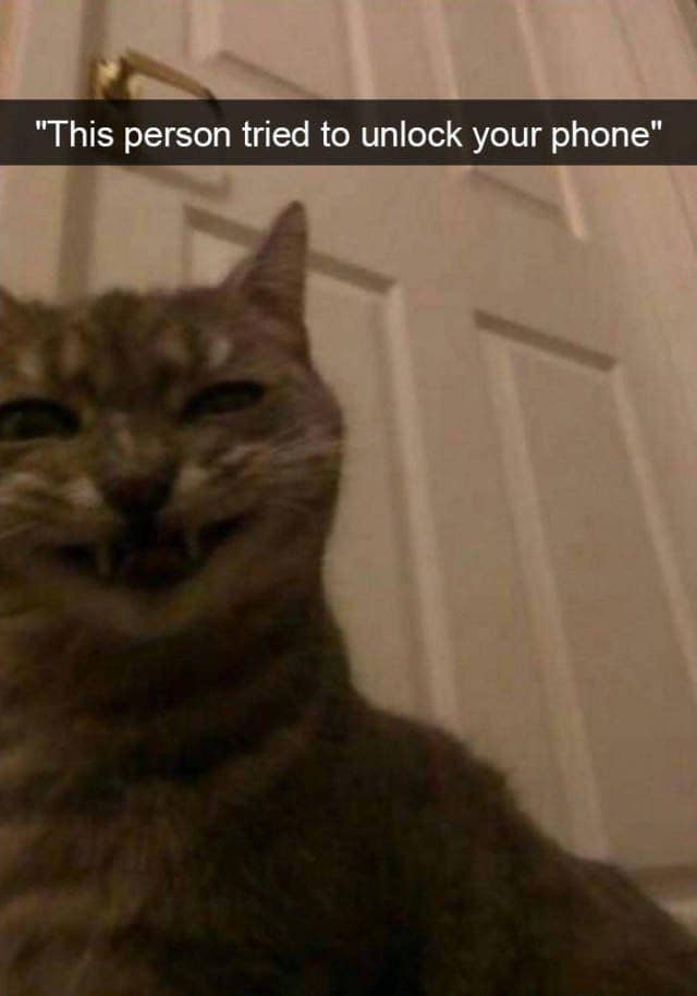 A hilarious home camera notification parody acting as a classic meme displays a front-facing camera shot under the banner alert "This person tried to unlock your phone," capturing a mischievous grey tabby cat staring into the lens with a terrifyingly wide, toothy grin.