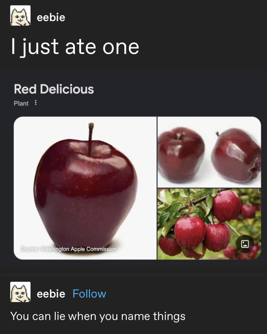 A legendary online text exchange operating as a funny classic meme displays a Tumblr post by user eebie showing a Google info box for a "Red Delicious" apple variety, accompanied by the dry commentary, "I just ate one" and "You can lie when you name things."