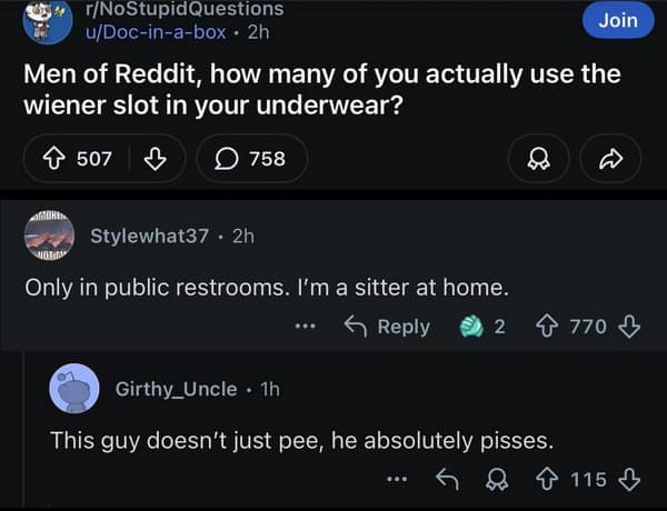 Reddit comment screenshot from the r/NoStupidQuestions community discussing underwear slots and bizarre bathroom philosophies, channeling the unhinged energy of old memes.