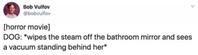 A pet-anxiety text joke by Bob Vulfov functions as a stellar classic meme, written as a horror movie script line: "DOG: wipes the steam off the bathroom mirror and sees a vacuum standing behind her."