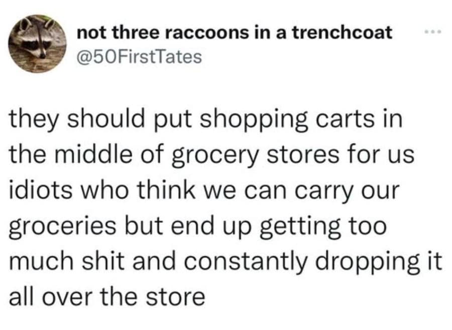 A viral shopping habits tweet archived among classic memes from user @50FirstTates makes a practical plea for grocery stores to stash loose shopping carts in middle aisles for customers who over-estimate their carrying capacity.