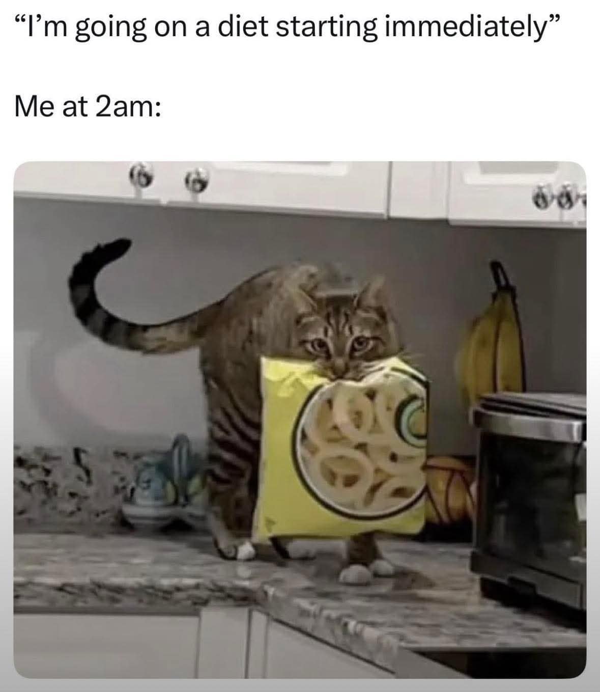 A late-night diet meme shows a cat on a kitchen counter carrying a huge bag of chips in its mouth under the text “I’m going on a diet starting immediately” and “Me at 2am,” capturing the eternal snack-crime loophole.