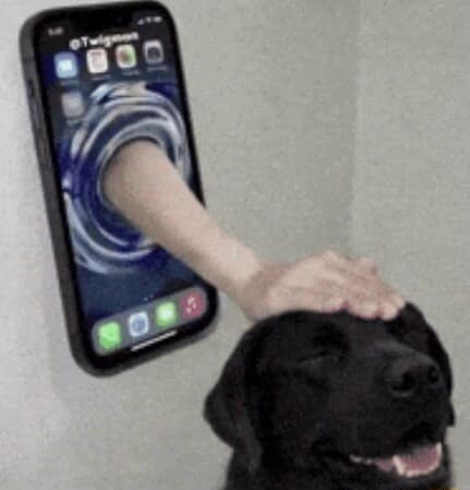 Surreal optical illusion image of a disembodied arm reaching clean out of a smartphone screen mounted on a wall to scratch the head of a smiling black dog in a wholesome classic meme.
