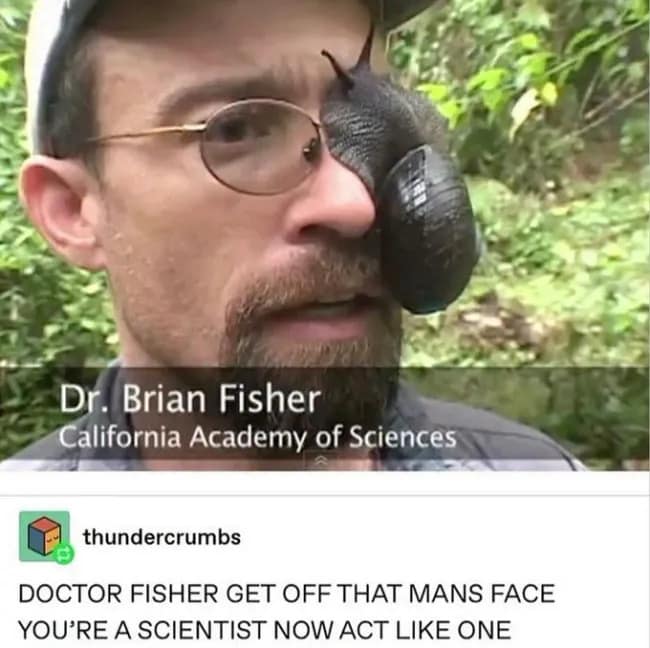 A television screenshot of entomologist Dr. Brian Fisher with a massive, live land snail crawling directly across his wire-rimmed glasses, paired with a hilarious Tumblr comment in a viral classic meme.