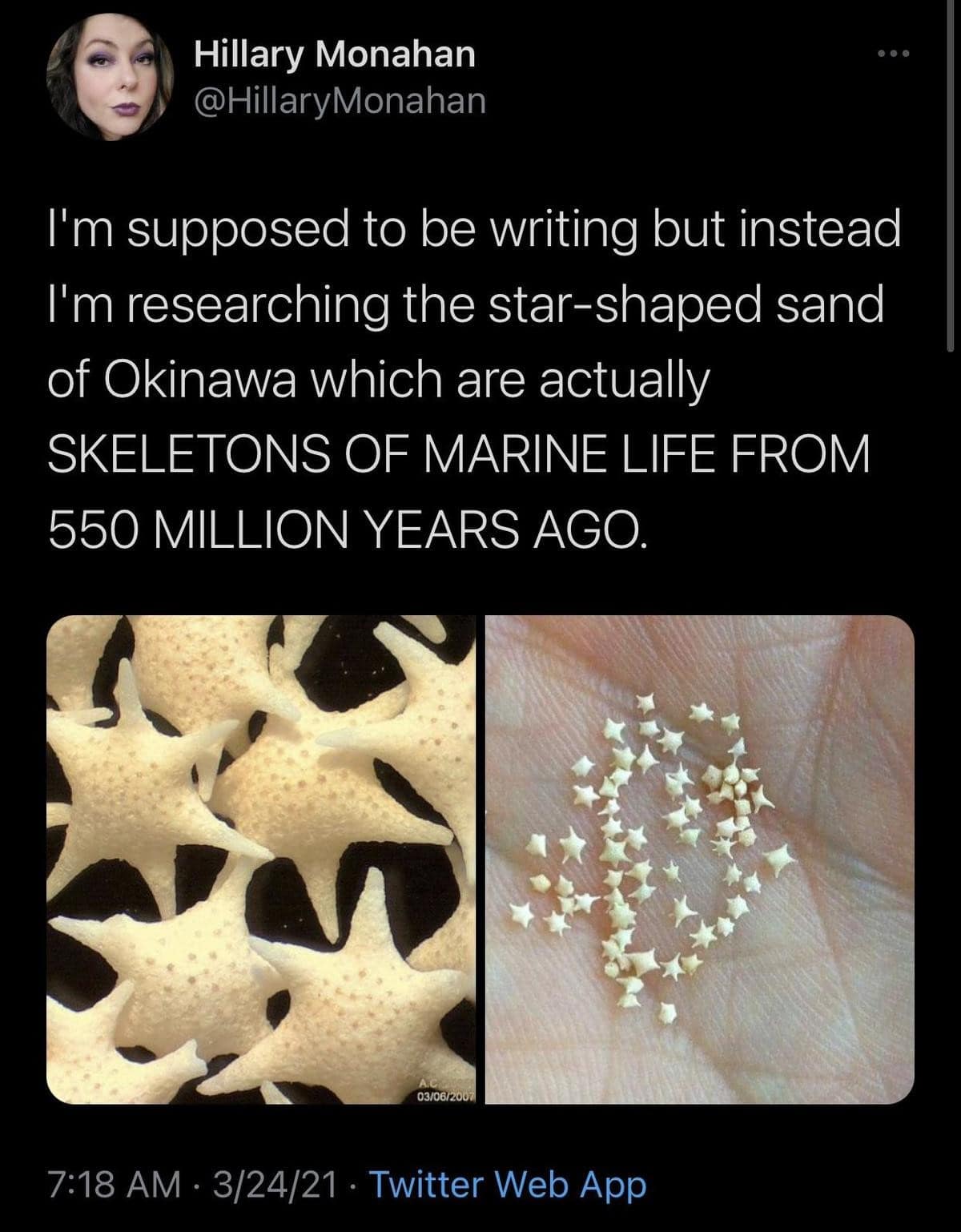 A procrastination tweet by author Hillary Monahan found in a classic memes archive, showing two macro photographs of tiny, perfect star-shaped sand grains from Okinawa, Japan, which are actually ancient marine life skeletons from 550 million years ago.