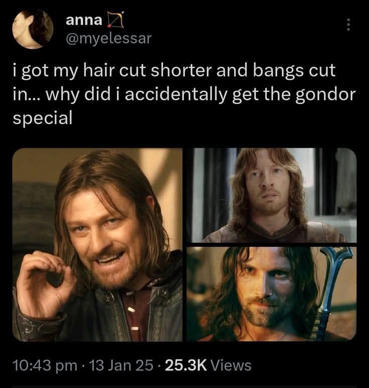 pop-culture tweet by anna (@myelessar) preserved as a classic meme, showcasing her realization that her short haircut and new bangs inadvertently mimic the mid-length middle-part curtain styles of Boromir, Faramir, and Aragorn, under the text: "why did i accidentally get the gondor special."