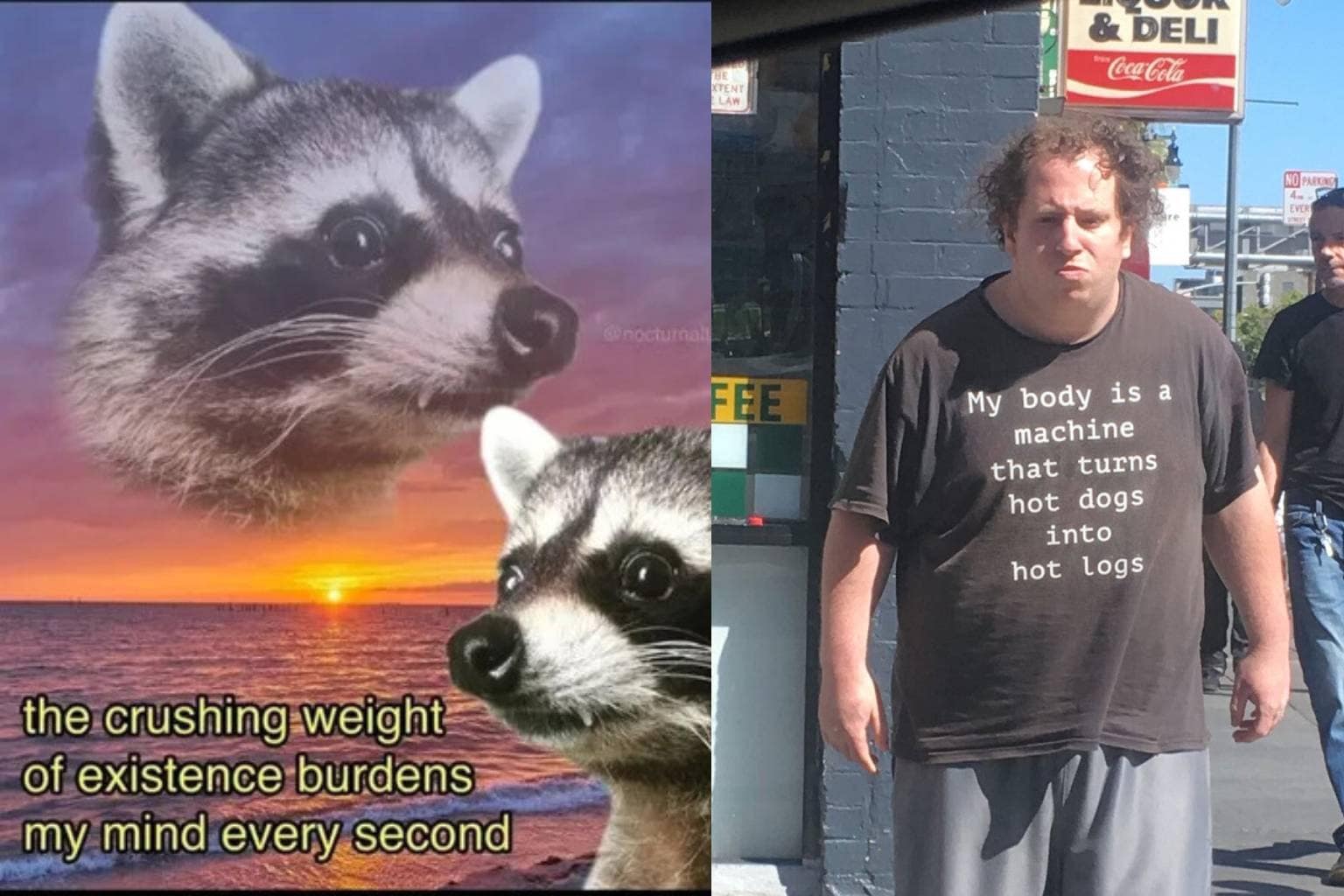 a viral classic memes compilation, front-loading a garage workshop photo of a white SUV body completely sheared off its chassis on a hydraulic lift, a man walking down a city sidewalk in a t-shirt about turning hot dogs into hot logs, and an orange tabby cat casually smoking a cigarette next to a green beer bottle on a riverbank.