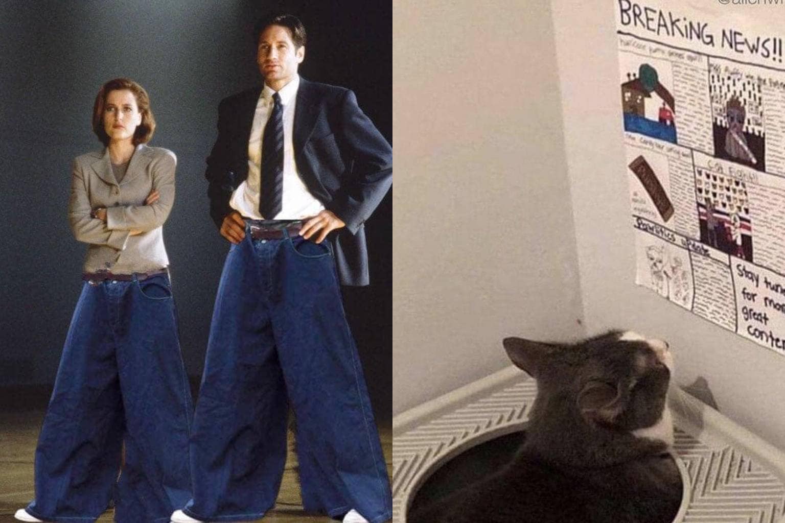a classic memes anthology derived from internet forum culture and dry text-based observations; prominently featuring a viral Tumblr thread debating how to "melt" a tomato into ketchup, an edited photograph of the characters from The X-Files wearing impossibly massive wide-legged JNCO jeans, and a custom printed newspaper hanging on a basement wall for a cat to read while using its litter box.