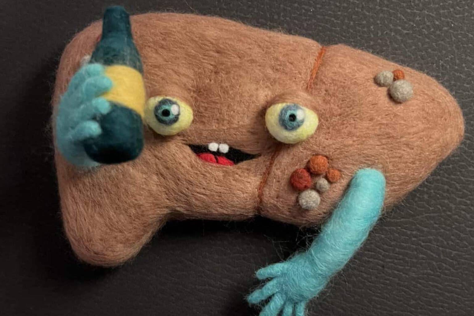 A masterfully composed textile gallery showcase highlighting a viral cursed crafts anthology, front-loading a disastrously elongated, misshapen grey hedgehog kit failure lying limp on a blue mat, a three-dimensional wool slice of avocado toast featuring four sad, bead-eyed green layers with downturned mouths, and a massive, custom-sculpted purple felt anteater creature boasting a massive, flowing mane of curly pink sheep wool loops.