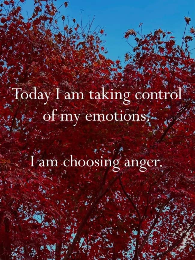 Cynical quote over bright red autumn trees today I am choosing anger.
