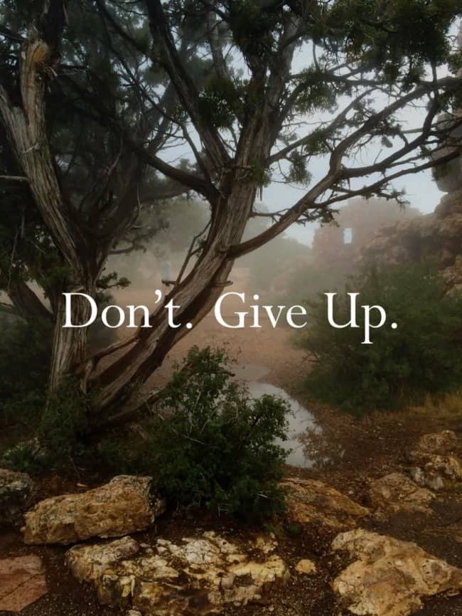 Clever grammar meme over foggy forest landscape don't give up with a period.