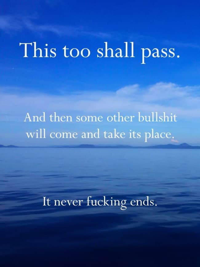 Nihilistic meme over calm blue sea water this too shall pass for more bullshit.