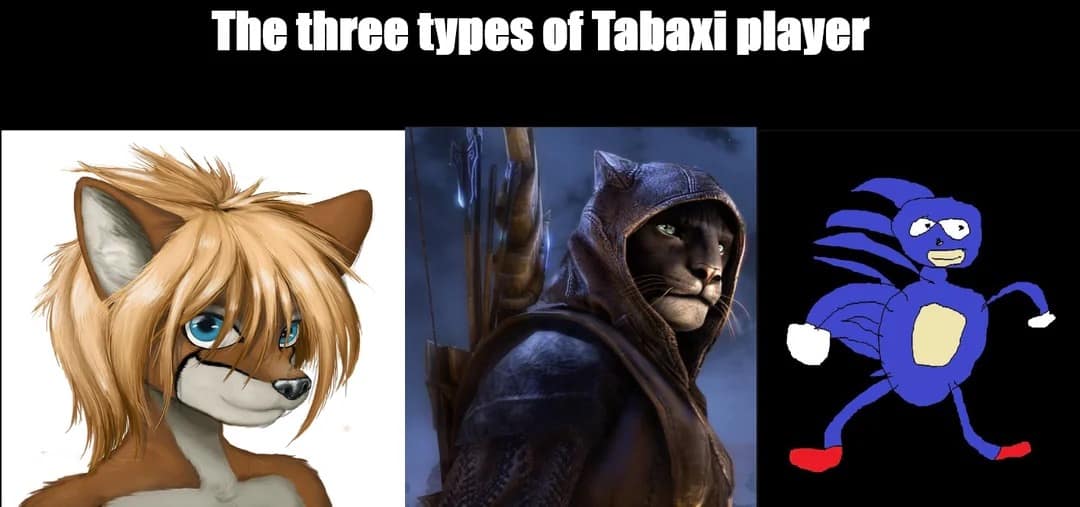 A dnd meme layout organizing "The three types of Tabaxi player" inside a three-panel horizontal grid, contrasting a highly styled 90s-era anime anthropomorphic furry character with a gritty, realistic hooded Khajiit rogue from The Elder Scrolls, and a crude MS Paint drawing of the viral "Sanic" meme.