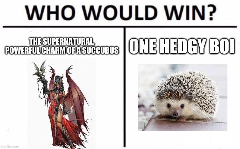 A split-panel "Who Would Win" layout structured as a tactical dnd meme, pitting the ultimate supernatural, high-level charm abilities of a dark succubus monster against a tiny, innocent real-world pet hedgehog labeled "one hedgy boi."