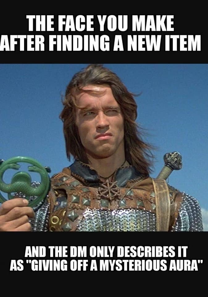 Arnold Schwarzenegger as Conan the Barbarian squinting skeptically at a green snake emblem in a dnd meme satirizing vague dungeon master descriptions after finding magic items.