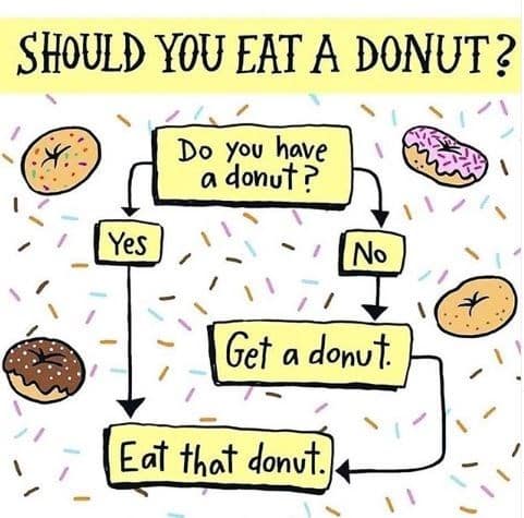 A whimsical, hand-drawn flowchart cartoon titled "SHOULD YOU EAT A DONUT?" against a background full of colorful sprinkles. Every single logical path—whether you currently have a pastry or not—leads directly to a box that says "Eat that donut."