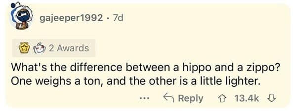 Screenshot of a text-based Reddit comment by user gajeeper1992 delivering a classic dumb joke riddle: "What's the difference between a hippo and a zippo? One weighs a ton, and the other is a little lighter."