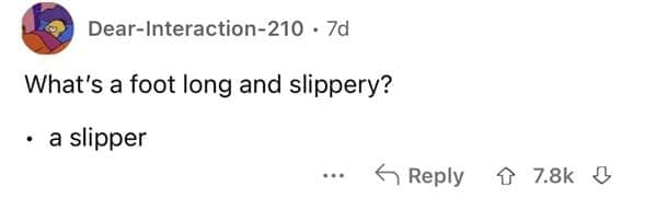 screenshot of a minimal text-based Reddit comment by user Dear-Interaction-210 showing a short, literal dumb joke riddle about a slipper.