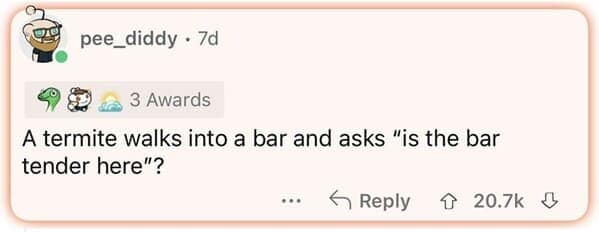 A screenshot of a Reddit comment box by user pee_diddy dropping a short, literal insect pun dumb joke about a termite walking into a tavern and asking "is the bar tender here?"