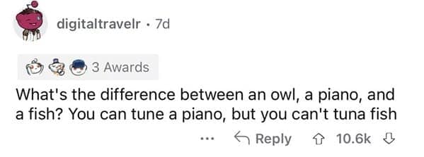 Screenshot of a Reddit comment by user digitaltravelr detailing a legendary three-part comparison dumb joke: "What's the difference between an owl, a piano, and a fish? You can tune a piano, but you can't tuna fish."