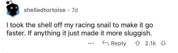 Screenshot of a short Reddit comment by user shelledtortoise framing a clever dumb joke about garden pests: "I took the shell off my racing snail to make it go faster. If anything it just made it more sluggish."