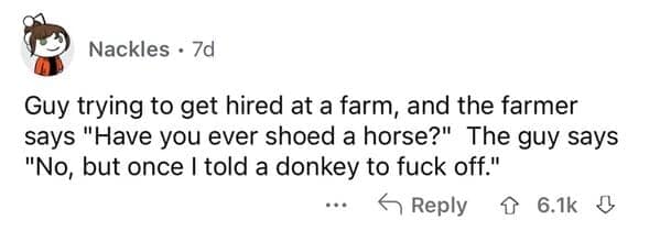 Screenshot of a Reddit job interview anecdote acting as a dumb joke by user Nackles where a farm hand misinterprets "shoeing a horse" as "shooing a donkey."